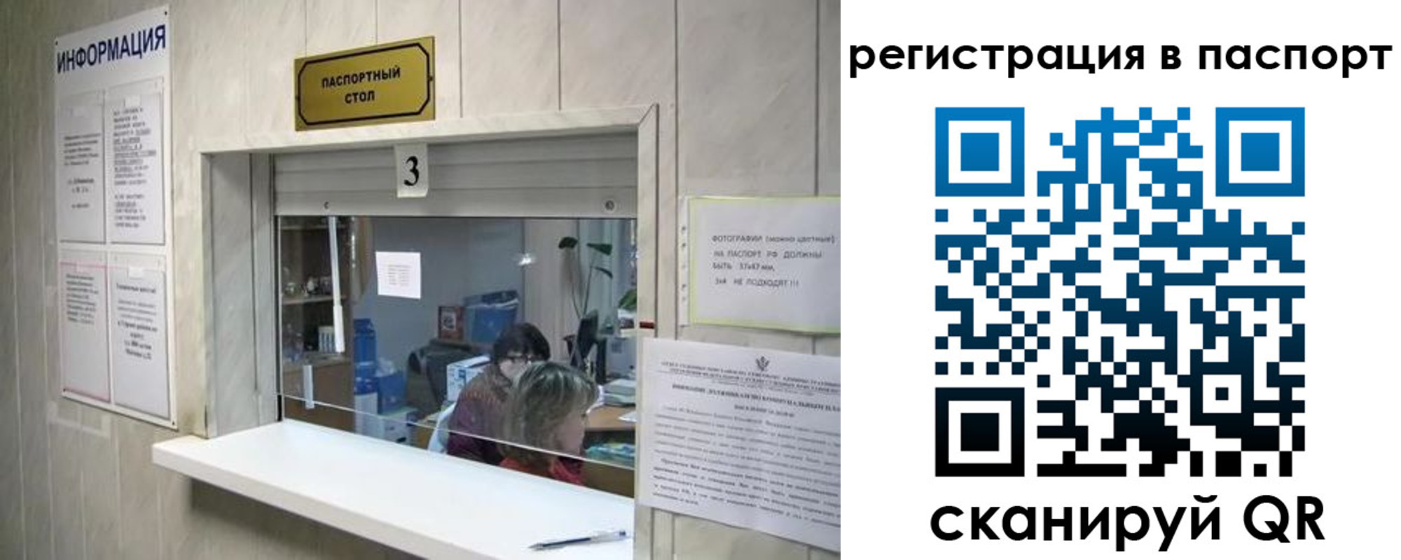 прописка поиск в Светлом